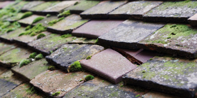 New Bradwell roof repair costs